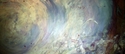 Painting--Murals-AllegoricalREVERIE (detail),  WHOLE FOODS MARKET,  Santa Fe NM