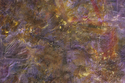 Painting--Oil-AbstractUNTITLED