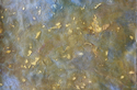 Painting--Oil-AbstractUNTITLED