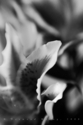 untitled (thumbnail)