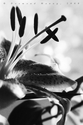untitled (thumbnail)