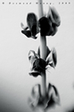 untitled (thumbnail)