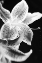 untitled (thumbnail)