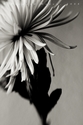 untitled (thumbnail)