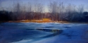 1030 Great Swamp 1 1030%20Great%20Swamp%201 (thumbnail)