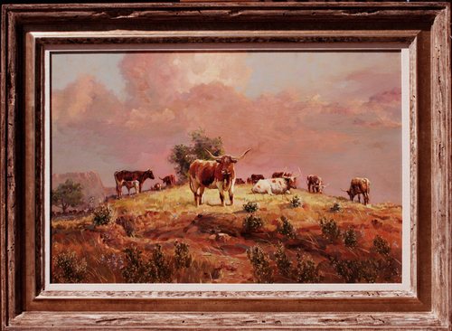 Texas Longhorns