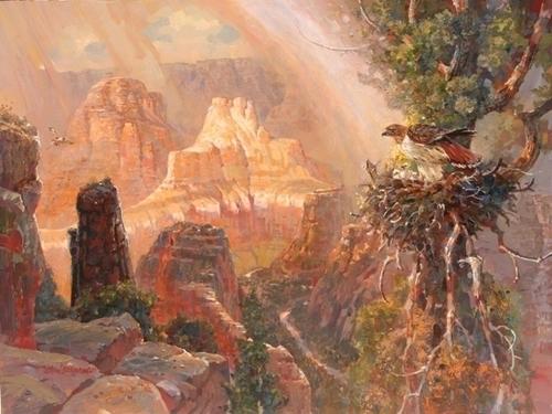 Red Tail Hawks