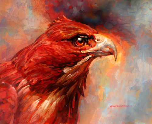 Hawk Head