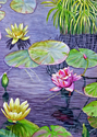 Donna Elliott - Waterlilies/Botanical Gardens