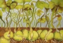 Painting--Watercolor-BotanicalSprouting Peas