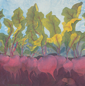 Painting--Watercolor-Botanical