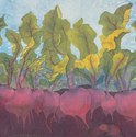 Print Making--Giclee-Animals