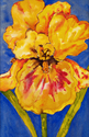 Yellow Iris