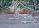 Tree over Blue River