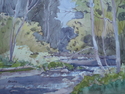 Beyond Blue River