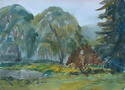 Two Willows