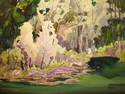 Reflections of West Wood