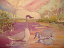 Geese at West Wood