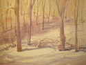 Winter at West Wood