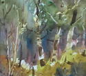 Beyond the Trees