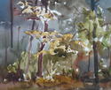 Houchin's Woods