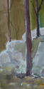 Rock Formation in Woods