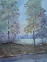 Trees by Erwin's Pond