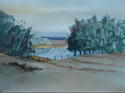 Lake Between the Trees