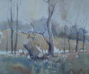 The Tree