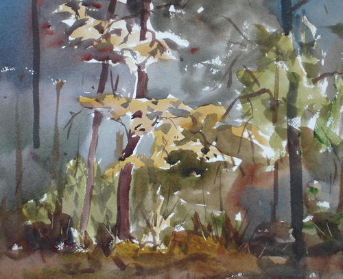 Painting-Watercolor-Houchin's Woods