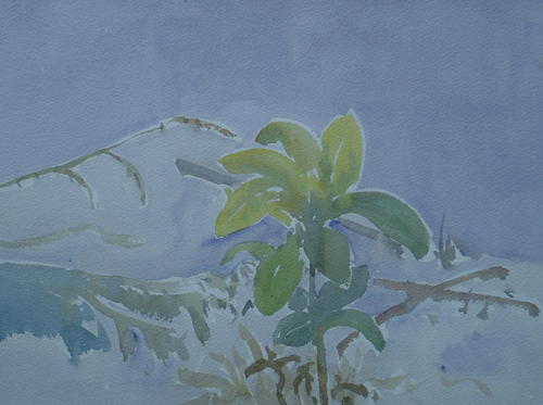 Painting-Watercolor-Untitled