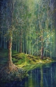 Douglas Kelly - SUNLIGHT BREAKS IN THE BAYOU
