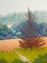 Cedar%20Sentinel (thumbnail)