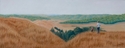 Denice Peters - Loess Hills Overlook
