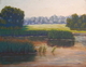 Painting-Iowa Marsh