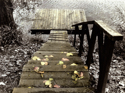 Autumn Stairs Autumn%20Stairs (thumbnail)