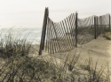 Sand Dunes Sand%20Dunes (thumbnail)