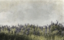Wildflowers Wildflowers (thumbnail)