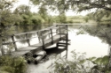 Pond Reflections Pond%20Reflections (thumbnail)