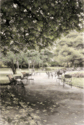 Morning in the Park Morning%20in%20the%20Park (thumbnail)