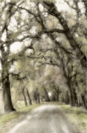 Sutter Island Sutter%20Island (thumbnail)