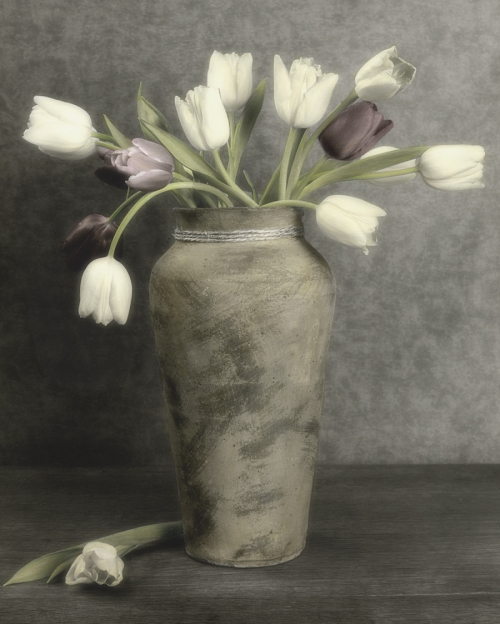 Floral & Still Life