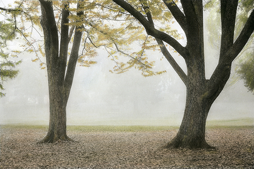 Original Hand Colored Photographs