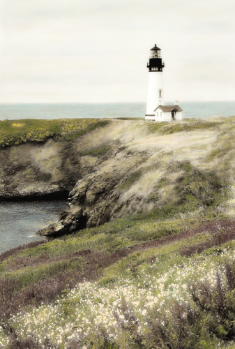 Landscapes
