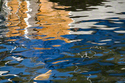 Dagmar Powitz - <br>Reflection 1