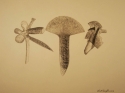 Drawing--Pencil-AbstractJet Pack