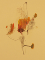 Drawing--Pastels-BotanicalOctober #1