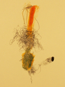 Painting--Pastels-BotanicalOctober #8