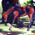 Cedar Pastures1