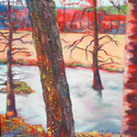 Sandy Bark